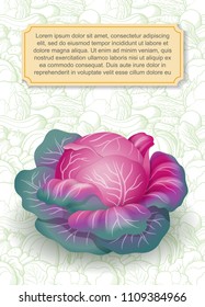 Card design template. Image of purple cabbage in semi-realistic style on background with contour vegetables. Vector illustration on agricultural theme
