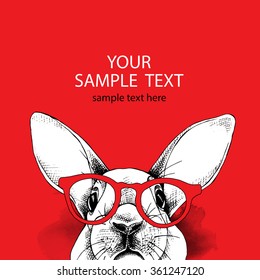 Card design template with image of a rabbit in glasses on red background. Vector illustration.