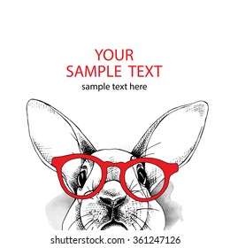 Card design template with image of a rabbit in red glasses. Vector illustration.