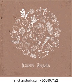 Card with Doodle fruits and vegetables on brown parcel paper. Vector sketch illustration of healthy food.