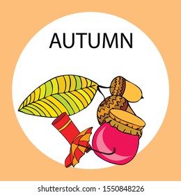 Card doodle style autumn, jam autumn leaves umbrella acorns, elements and symbols in color