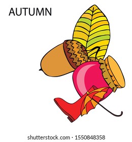 Card doodle style autumn, jam autumn leaves umbrella acorns, elements and symbols in color