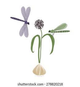 card , dragonflies and garlic