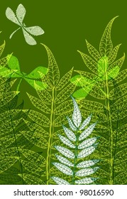 Card with fern and dragonfly, beautiful vector illustration