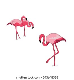 Card with flamingos