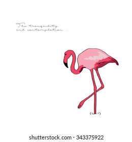 Card with flamingos and the text " The tranquility and contemplation ." Suitable for printed postcards , prints on fabric or illustrations in books