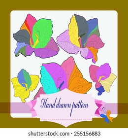 Card with floral motif, frame , gladioli, label on a  white   background. Hand drawn.