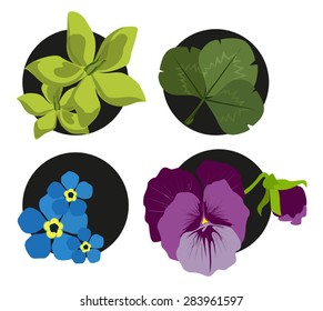 card with flowers