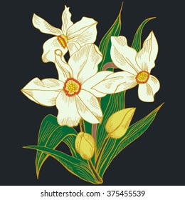 Card with flowers. Daffodils. Vector sketch illustration, romantic background, floral design elements.