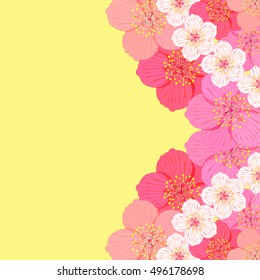 card with flowers of Japanese cherry vector illustration