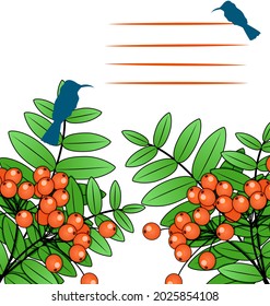 card with flowers and leaves of a plant rowan and with birds