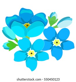 card of forget-me-alpine a wild flower . vector illustration