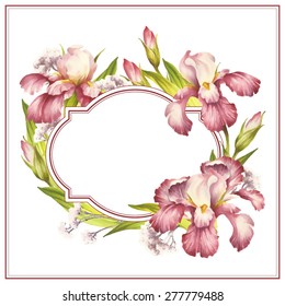 Card frame with irises. Vector Illustration