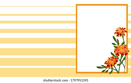 Card with frame made marigold flowers with yellow and white background. Card with text space. Vector graphic image.