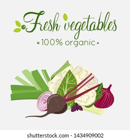 Card with fresh vegetables beet, onion, leek, cauliflower. Healthy organic vegetarian and vegan food, raw meal. Vector illustration. 