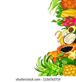 card  fruits pandan banana avocado coconut papaya pineapple, Pitahaya, star carambola  vector illustration
