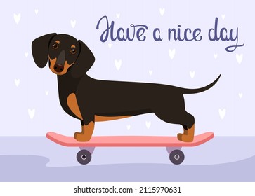 Una postal con un divertido dachshund en una patineta. Que tengas un buen día. Diseño de caricaturas.
