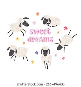 Card with funny sheeps with stars and text - sweet dreams. Cartoon character lambs isolated on white background. Vector illustration.