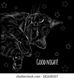 Card "Good night" with cat. Vector illustration.