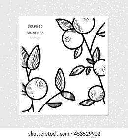 Card with graphic branches. Vintage botanical illustration. Vector design element. Black and white.