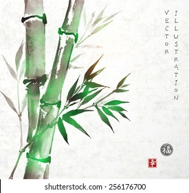 Card with green bamboo in sumi-e style. Hand-drawn with ink. Vector illustration. Traditional Japanese painting. Sealed with hieroglyphs "luck' and "happiness" 