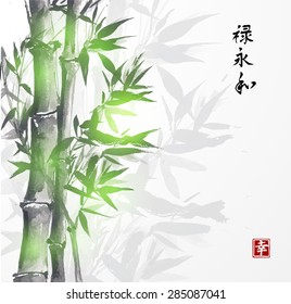 Card with green bamboo in sumi-e style. Hand-drawn with ink. Vector illustration. Traditional Japanese painting. Contains hieroglyphs "happiness" (stamp), "well-being", "eternity", "harmony"