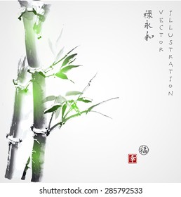 Card with green bamboo in sumi-e style. Hand-drawn with ink. Vector illustration. Traditional Japanese painting. Contains hieroglyphs "luck", "happiness" (stamps), "well-being", "eternity", "harmony"