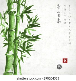 Card with green bamboo in sumi-e style on vintage rice paper.  Traditional Japanese painting. Contains hieroglyphs "happiness" and "luck" (stamps), "wealth", "dreams come true", "spring"