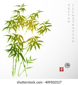 Card with green bamboo in sumi-e style. Hand-drawn with ink. Vector illustration. Traditional Japanese painting. Contains hieroglyphs - happiness, joy