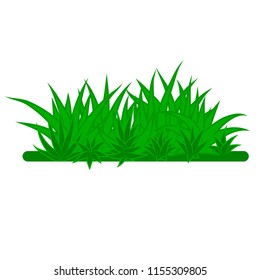 Card with green grass isolated on white background with empty space. Vector illustrator.