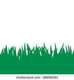 Card with green grass isolated on white background with empty space. Vector illustrator.
