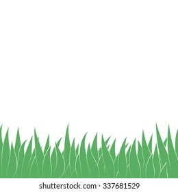 Card with green grass isolated on white background with empty space. Vector illustrator.