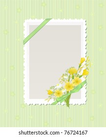Card for greeting or congratulation on the green background