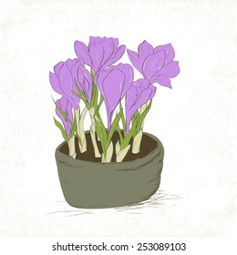 Card with hand drawn crocus spring flowers. Thank you card, Greeting card or Invitation. Vector illustration.