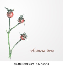 Card with hand drawn image of dog rose and place for your text. Vector illustration.