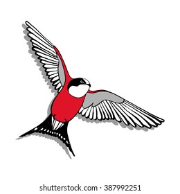 Card with hand drawn red bird on a white background. Vector illustration.