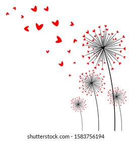 card happy valentine's day. Beautiful dandelion. abstract flower of heart on white background. Love Dandelion.