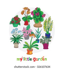 Card of indoor plants. It contains gerbera, geranium, begonia and other plants in colorful pots. White background. Painted in scribbles. 