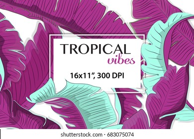 Card invitation or card design with exotic tropical leaves. Tropical flowers, jungle leaves, bird of paradise flower. Vector exotic pattern with green phoenix palm leaves.Beach Hawaii floral card