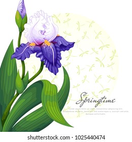 Card with iris flowers and buds. Place for your text. Round insertion with dragonflies.