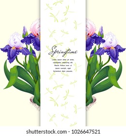 Card with iris flowers. Insertion with dragonflies for your text.