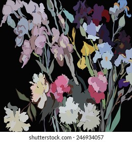 Card with irises and peonies  in a black  background.  Sketch from life, hand drawn.