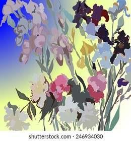 Card with irises and peonies in a gradient background.  Sketch from life, hand drawn.