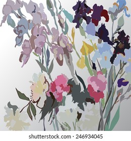 Card with irises and peonies  in a   gradient gray  background.  Sketch from life, hand drawn.