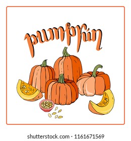 Card or a leaflet with pumpkins vectot