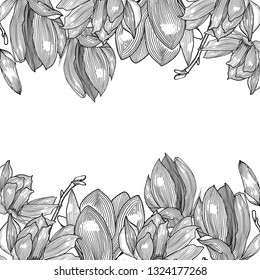 Card with magnolia. Graphics. Hand drawn.