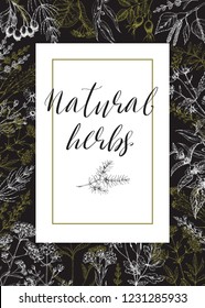 Card with medicinal herbs. Wild healing plants. Vintage flowers. Hand drawing vector illustration. Engravings style. Botanical black and gold background. Pharmacy herbs. Frame with medical plants.
