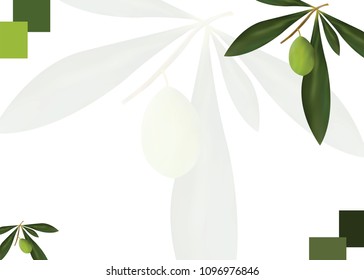 card with olive tree vector illustration - greek olive oil card