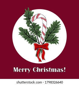 Card on a Christmas theme with the image of a branch of spruce, caramel. Design for printing wrapping paper, gift, greeting card, fabric. Vector illustration in doodle style.