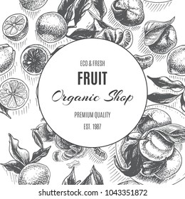 Card for organic fruit store. Vector sketch background fruit. Citrus pattern.